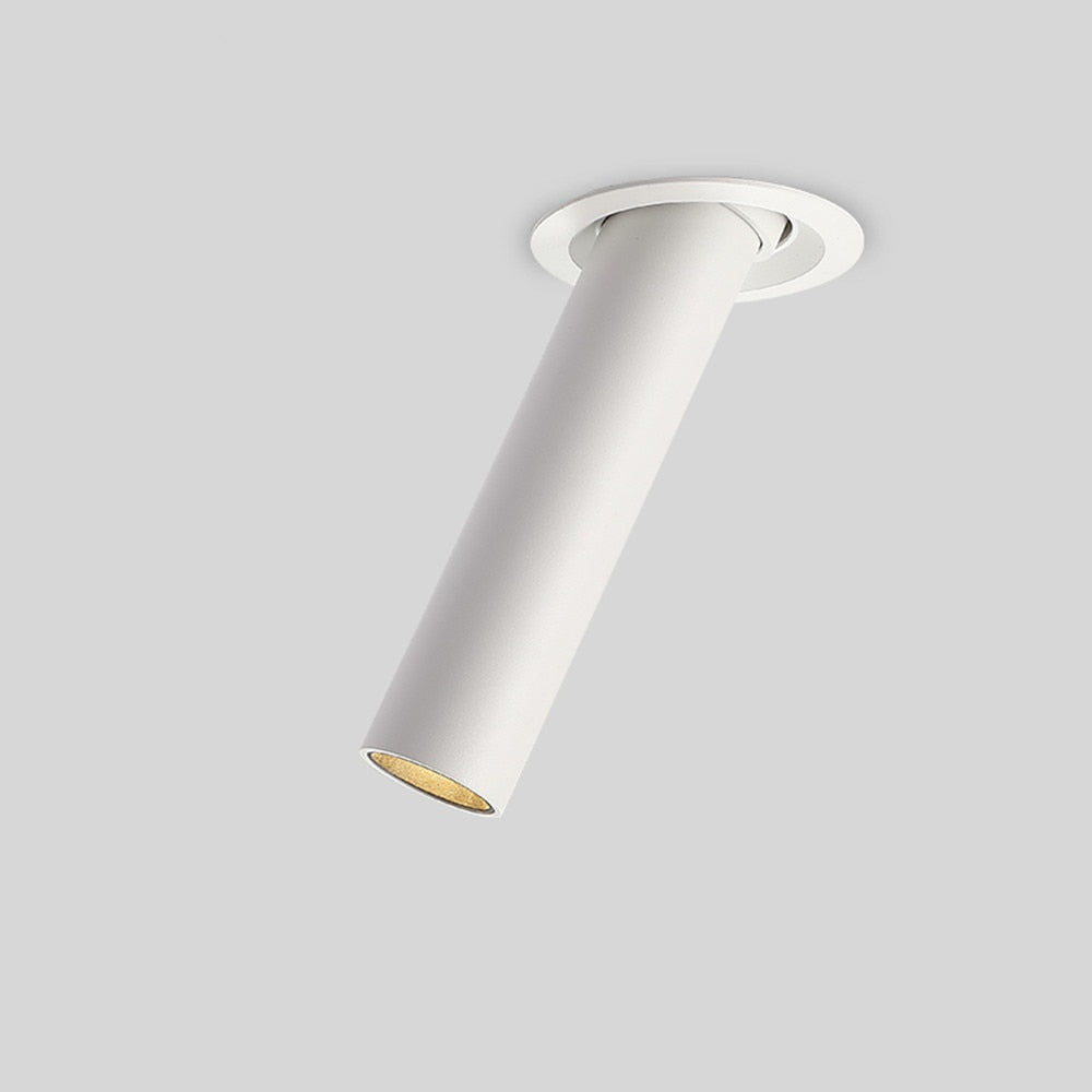 Modern Led Downlight 12W Long Tube Recessed In Ceiling Downlight Length 120mm 200mm Angle Adjustable Spot Lighting Led Spot Lamp