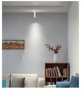 Modern Led Downlight 12W Long Tube Recessed In Ceiling Downlight Length 120mm 200mm Angle Adjustable Spot Lighting Led Spot Lamp