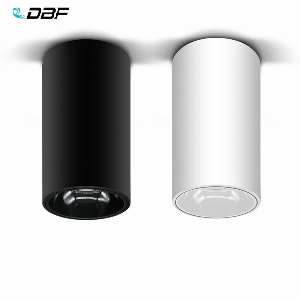DBF Shining Reflector Surface Mounted Downlight 15W 20W AC85-265V White/Black Body Spot Light for Living Room Bedroom Hallway