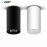 DBF Shining Reflector Surface Mounted Downlight 15W 20W AC85-265V White/Black Body Spot Light for Living Room Bedroom Hallway