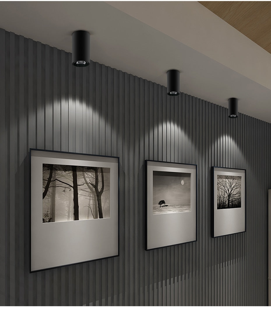 DBF Shining Reflector Surface Mounted Downlight 15W 20W AC85-265V White/Black Body Spot Light for Living Room Bedroom Hallway