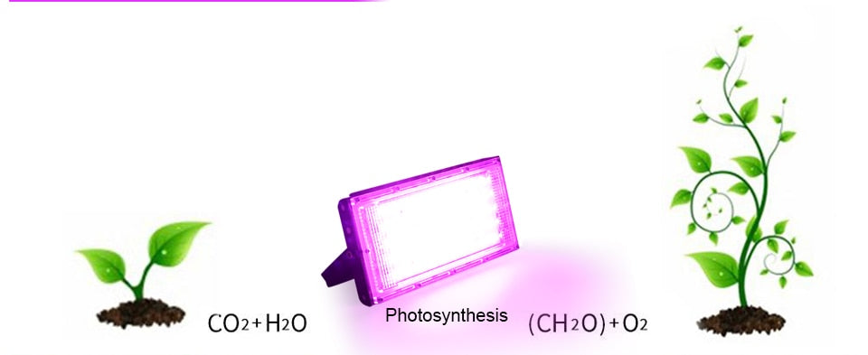 50W LED Chip AC 220V LED Floodlight SMD 2835 LED Lamp beads Spotlight For Flood Light Street Lamp Outdoor Lighting Chip diode