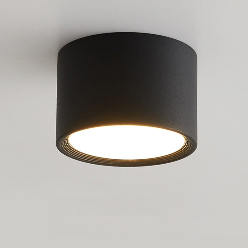 LED Downlight Ceiling Spotlights Living Lamp Nordic Lighting For Kitchen Aisle Spot light Surface mounted AC90-260v