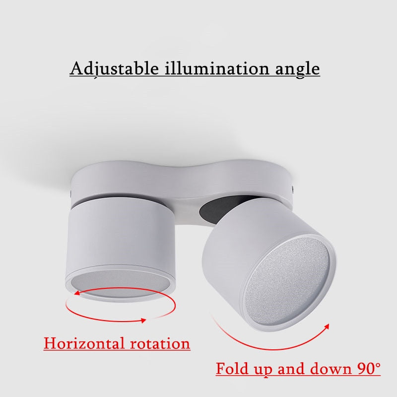 Dimmable Surface Mounted LED COB Downlight 2x7w/2x10w/2x15w Rotating LED Spot Light Ceiling Lamp with LED Driver AC110V/220V