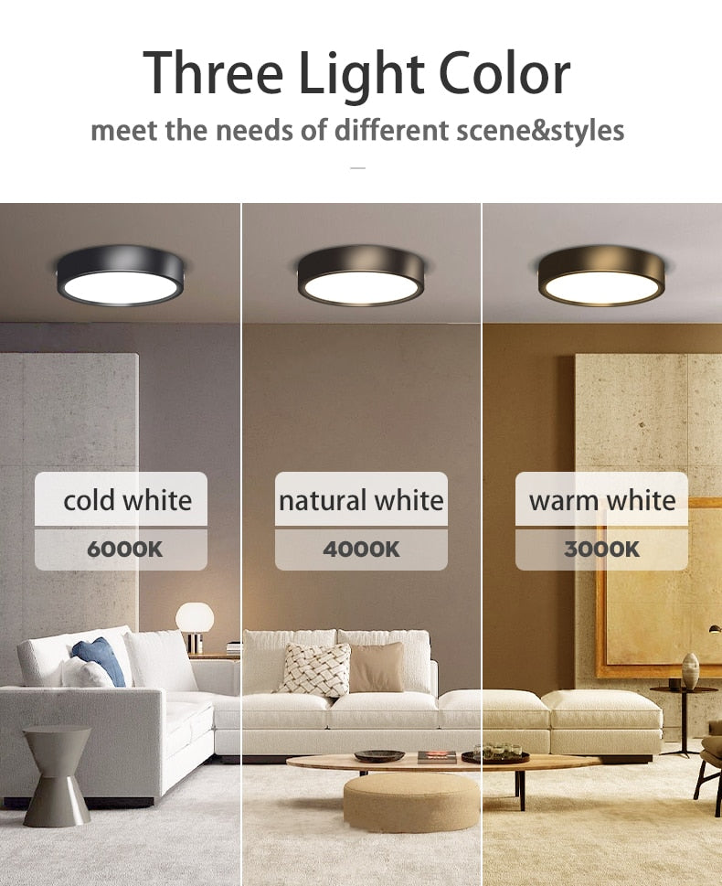LED Ceiling Spots 5W 10W 12W 20W 30W 40W 220V Spot Light Ceiling Spotlights Foldable Track Light Spotlight Indoor