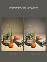 Aisilan Led Downlight Matte soft Anti-glare Recessed Downlight Aluminium Ceilling Spot Light narrow side waterproof spot light