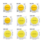 Ceramics Base LED COB Chip Bulb 3W 5W 7W 9W 12W 15W 20W 30W 50W AC220V Smart IC Diode For FloodLight Spotlight Downlight DIY LED