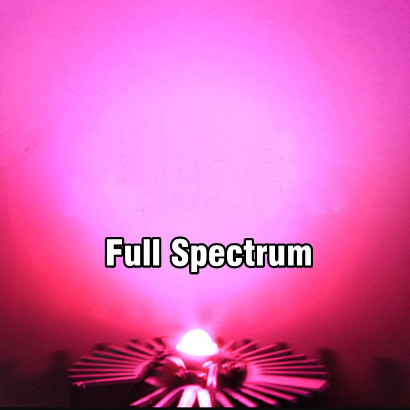 50pcs 1W 3W High Power LED Light-Emitting Diode LEDs Chip SMD Warm White Red Green Blue Yellow For SpotLight Downlight Lamp Bulb