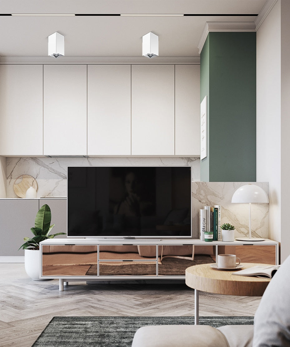 Surface Mounted Downlight Led Ceiling Lamp 15W 20W LED COB Downlight Indoor Lighting For Living Room Bedroom Kitchen AC110V 220V