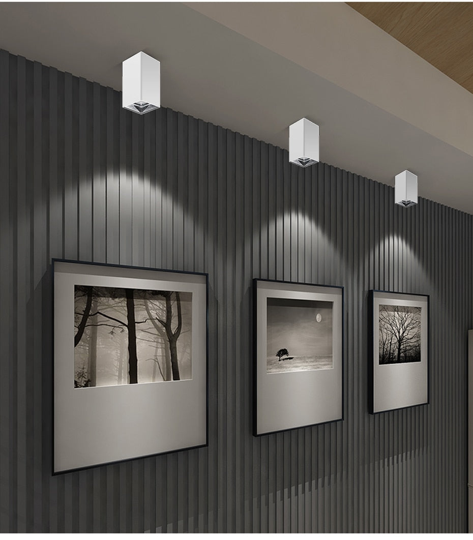 Surface Mounted Downlight Led Ceiling Lamp 15W 20W LED COB Downlight Indoor Lighting For Living Room Bedroom Kitchen AC110V 220V