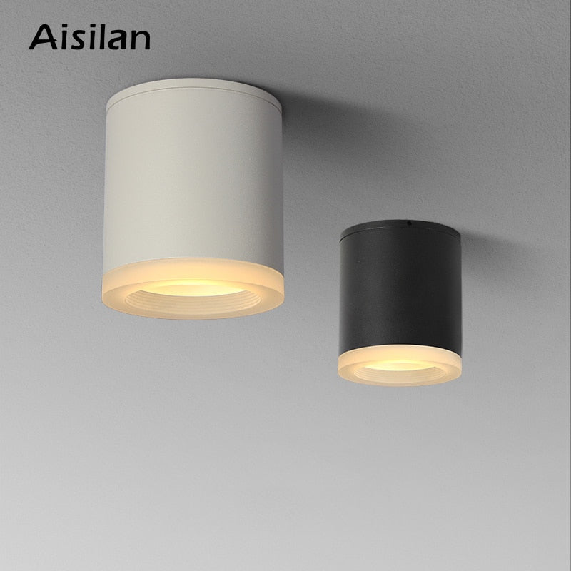 Aisilan Led Surface Mounted Ceiling Downlight for indoor Living room, Bedroom, Kitchen, Bathroom, Corridor Spot light AC90-260V
