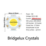 High Power 20pcs a Lot LED COB Light Bulb 20mm 3W 5W 7W 10W Use 250mA/300mA LED Source Chip Light Lamp SpotLight Downlight Lamps