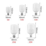 KARWEN Lampada LED Bulb E27 No Flicker LED Lamp 5W 10W 15W 20W 30W Bomlillas LED Ampoule Blub 220V For Indoor Home Table Lamp