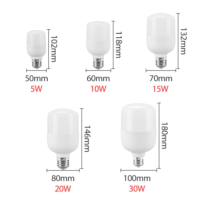 KARWEN Lampada LED Bulb E27 No Flicker LED Lamp 5W 10W 15W 20W 30W Bomlillas LED Ampoule Blub 220V For Indoor Home Table Lamp
