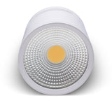 LED Downlights 3W 5W 7W 10W 15W Ceiling Lamps Spot Light AC85-265V Surface Mounted Down Light White/Warm white