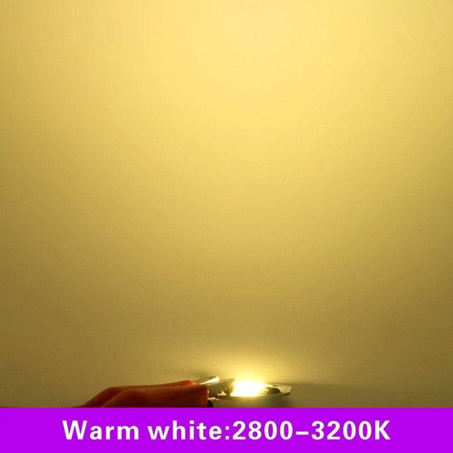 LED COB Chip 10pcs/lot MINI 220V 3W 5W 7W 9W Smart IC No Need Driver LED Bulb Lamp for Flood Light Spotlight Downlight Lighting