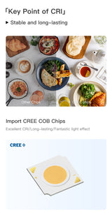 MR.XRZ 7W 10W Recessed Round COB Led Downlights Adjustable Anti Dazzle Ceiling Spot Lights Lamp For Indoor Bedroom