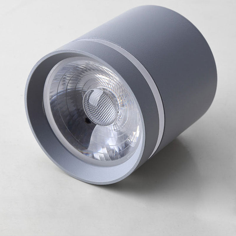  Spotlight Ceiling light Porch Living room Bedroom Bathroom Corridor Dimmable Ceiling lamp downlight 10W  AC110V 220V