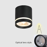  Spotlight Ceiling light Porch Living room Bedroom Bathroom Corridor Dimmable Ceiling lamp downlight 10W  AC110V 220V