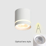  Spotlight Ceiling light Porch Living room Bedroom Bathroom Corridor Dimmable Ceiling lamp downlight 10W  AC110V 220V