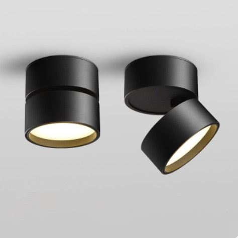 Folding Dimmable LED Downlights 9W 12W 15W LED Ceiling Spot Lights AC110-240V LED Ceiling Lamps Warm Cold White Indoor Lighting