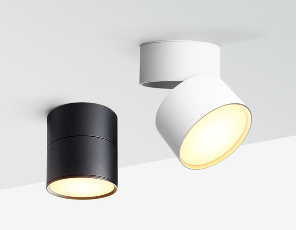 Folding Dimmable LED Downlights 9W 12W 15W LED Ceiling Spot Lights AC110-240V LED Ceiling Lamps Warm Cold White Indoor Lighting