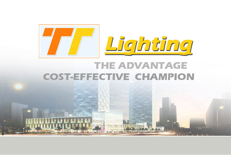 Slim LED Ceiling Downlight Mini Recessed 3W 5W 7W DC12V 14mm Lighting 2inch Hole Cut Embedded Lamp Home Hotel Display  Lights