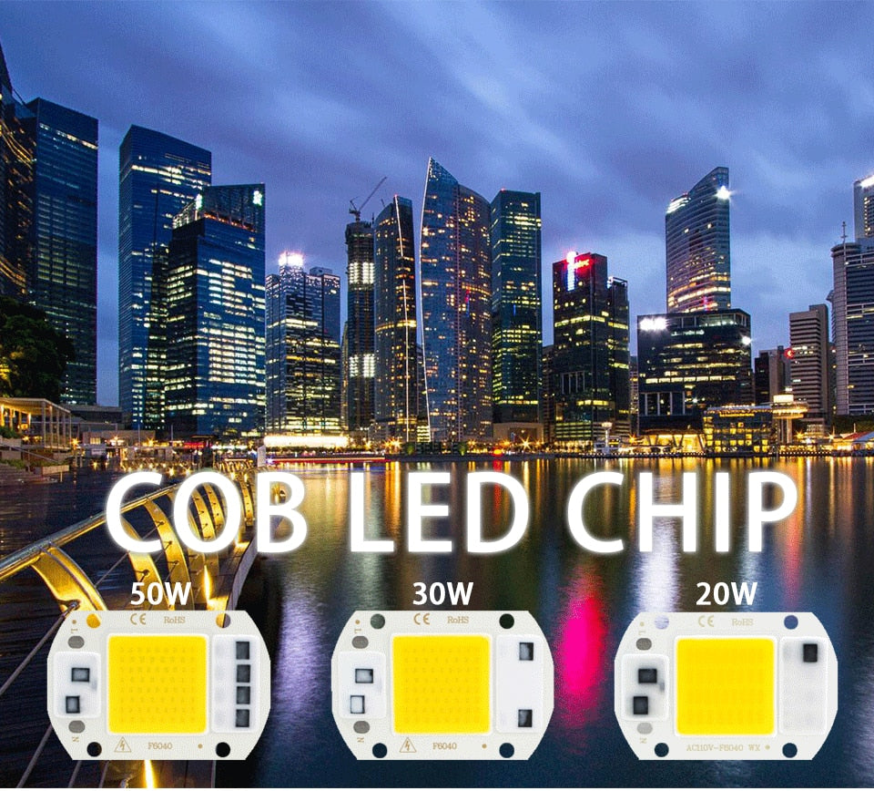 COB LED Chip 50W 220V 30W 20W 10W 3W Smart IC No Need Driver LED
