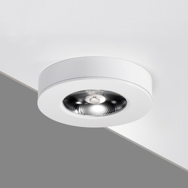 Surface Mounted 5W 7W LED downlight 10W Ceiling Lamps Ultra Thin Driverless cob led spot lights 220V indoor Ceiling Fixtures