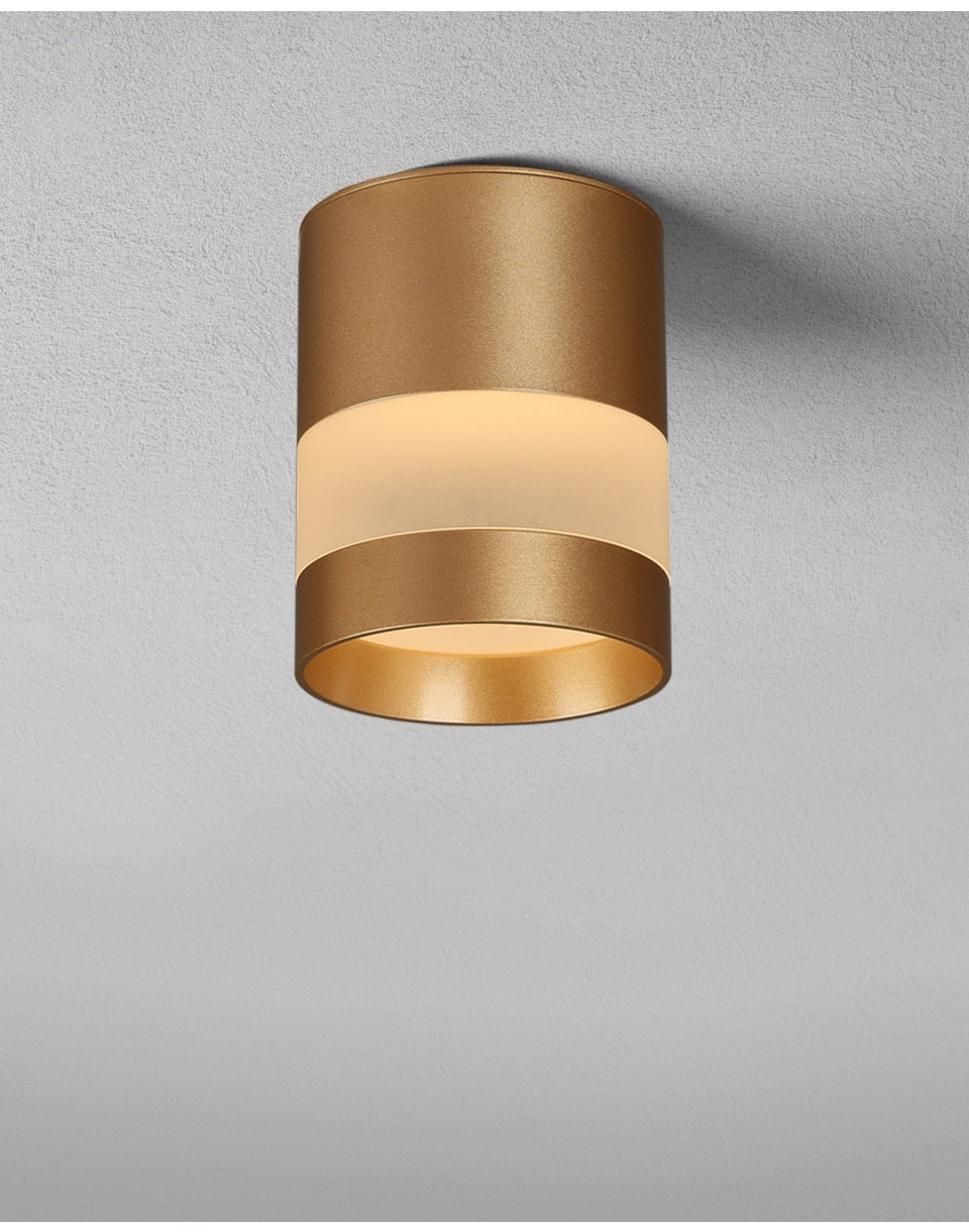 Aisilan LED Downlight Surface mounted ceiling downlight, black, white or golden soft light led spot lights Ceiling Fixtures