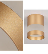 Aisilan LED Downlight Surface mounted ceiling downlight, black, white or golden soft light led spot lights Ceiling Fixtures