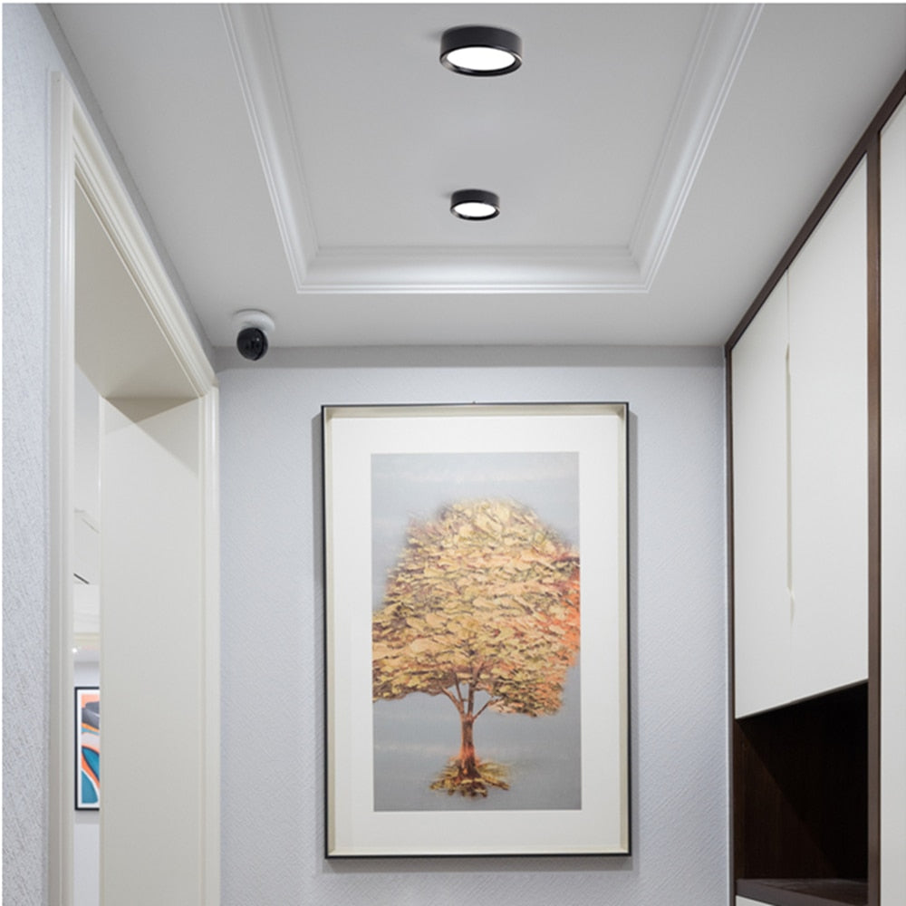 Ultra thin Macaron LED Ceiling Light Fixture Lamp Surface Mount Living Room Bedroom Bathroom Home Decoration Kitchen AC220 230V