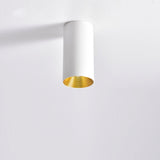 AC85-220V LED Surface Ceiling Light Fixtures For Dining Room Lighting Bar Shop Restaurant Indoor Home Lamp Aluminum Lampshade