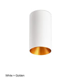 AC85-220V LED Surface Ceiling Light Fixtures For Dining Room Lighting Bar Shop Restaurant Indoor Home Lamp Aluminum Lampshade