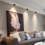 LED wall mounted downlight ceiling cob Nordic spotlights living room Corridor Home Round Scandinavian Spotlight Villa COB lamp