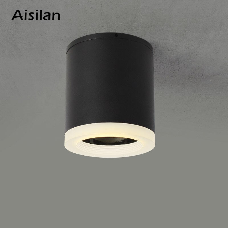 Aisilan Led Surface Mounted Ceiling Downlight for indoor Living room, Bedroom, Kitchen, Bathroom, Corridor Spot light AC90-260V