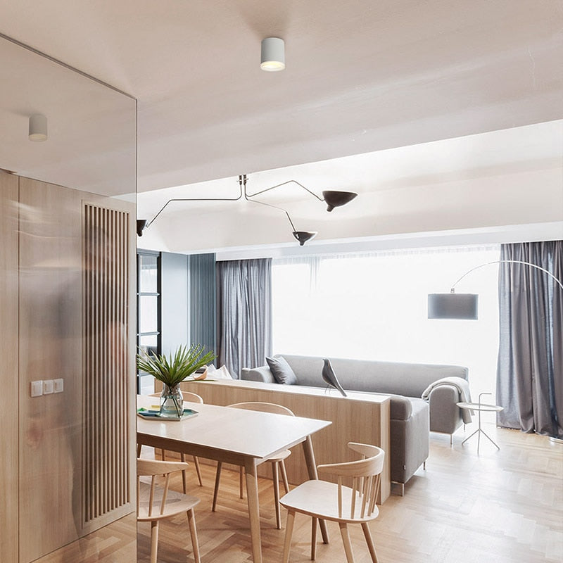 Aisilan Led Surface Mounted Ceiling Downlight for indoor Living room, Bedroom, Kitchen, Bathroom, Corridor Spot light AC90-260V