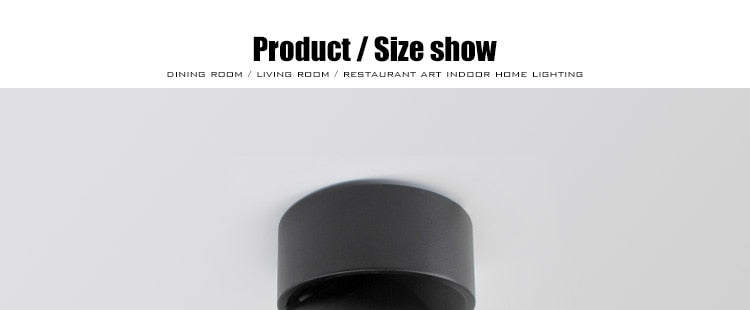 Modern Led Ceiling Lights For Living Room Black Surface Mounted Adjustable Downlight Indoor Restaurant Hotel Aisle Lamp Lustre