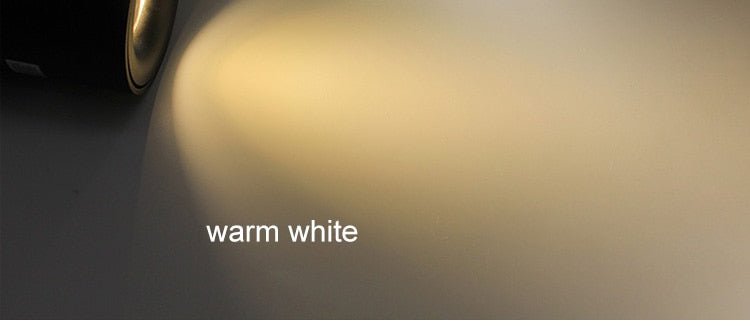 Modern Led Ceiling Lights For Living Room Black Surface Mounted Adjustable Downlight Indoor Restaurant Hotel Aisle Lamp Lustre