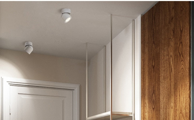 Modern Led Ceiling Lights For Living Room Black Surface Mounted Adjustable Downlight Indoor Restaurant Hotel Aisle Lamp Lustre