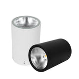 LED Waterproof IP65 COB Ceiling Downlight Surface Mounted Balcony Terrace Hotel Kitchen Bathroom Lamp