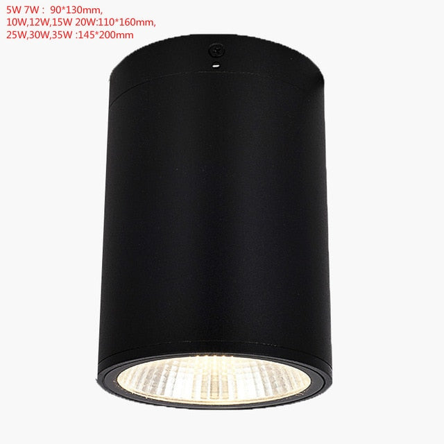 LED Waterproof IP65 COB Ceiling Downlight Surface Mounted Balcony Terrace Hotel Kitchen Bathroom Lamp