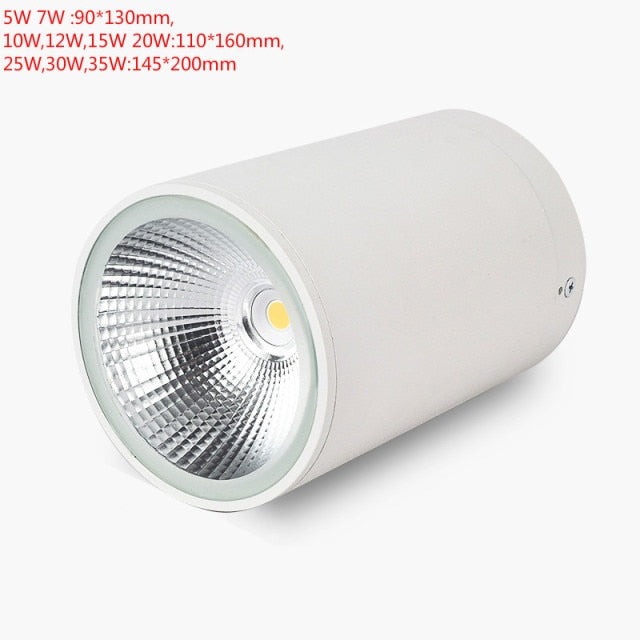 LED Waterproof IP65 COB Ceiling Downlight Surface Mounted Balcony Terrace Hotel Kitchen Bathroom Lamp