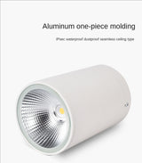 LED Waterproof IP65 COB Ceiling Downlight Surface Mounted Balcony Terrace Hotel Kitchen Bathroom Lamp