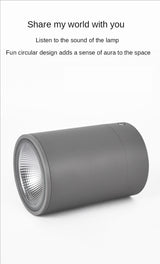 LED Waterproof IP65 COB Ceiling Downlight Surface Mounted Balcony Terrace Hotel Kitchen Bathroom Lamp