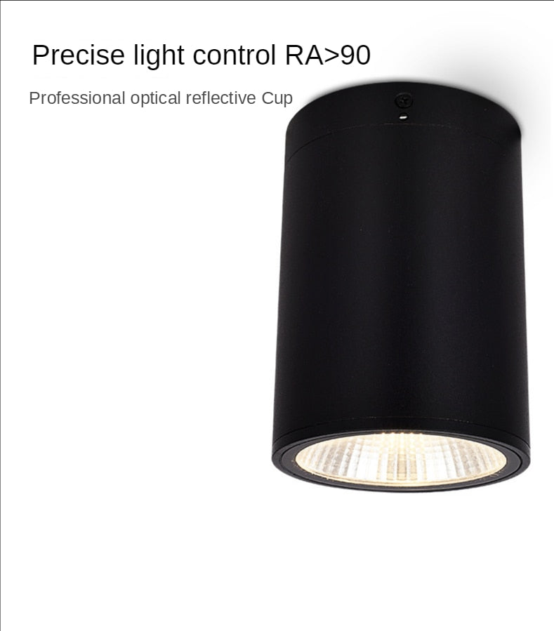 LED Waterproof IP65 COB Ceiling Downlight Surface Mounted Balcony Terrace Hotel Kitchen Bathroom Lamp