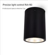 LED Waterproof IP65 COB Ceiling Downlight Surface Mounted Balcony Terrace Hotel Kitchen Bathroom Lamp