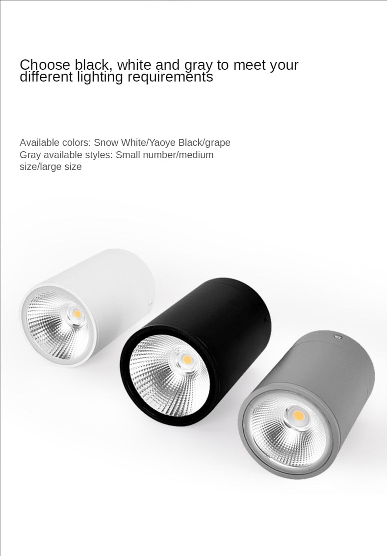 LED Waterproof IP65 COB Ceiling Downlight Surface Mounted Balcony Terrace Hotel Kitchen Bathroom Lamp