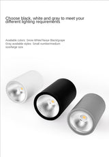 LED Waterproof IP65 COB Ceiling Downlight Surface Mounted Balcony Terrace Hotel Kitchen Bathroom Lamp