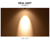 Dimmable 5W 7W 10W 15W LED Downlight AC110V-240V Cool white/Warm White CE&ROHS  LED Spotlight Ceiling